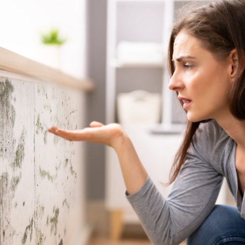 Side View Of A Shocked Young Woman Looking At Mold On Wall