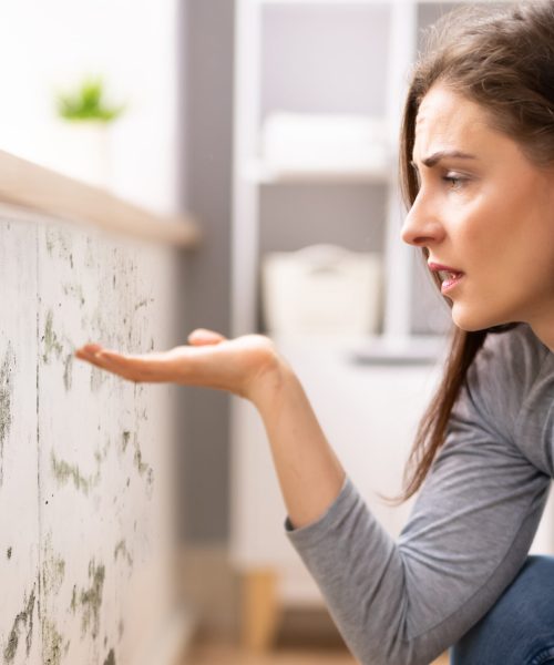 Side View Of A Shocked Young Woman Looking At Mold On Wall
